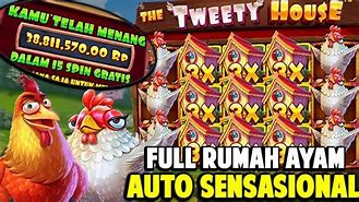 The Tweety House Slot Hari Ini Live Result Today Live Score